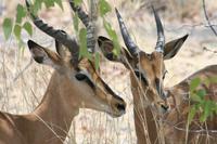 &copy; Tom Finke (Eberhardt TRAVEL)