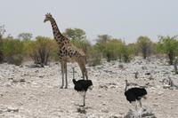 &copy; Tom Finke (Eberhardt TRAVEL)