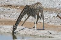 &copy; Tom Finke (Eberhardt TRAVEL)