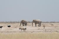 &copy; Tom Finke (Eberhardt TRAVEL)