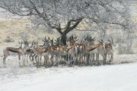 &copy; Tom Finke (Eberhardt TRAVEL)