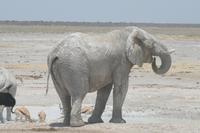 &copy; Tom Finke (Eberhardt TRAVEL)