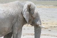 &copy; Tom Finke (Eberhardt TRAVEL)