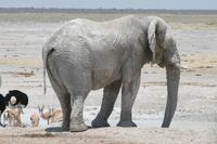 &copy; Tom Finke (Eberhardt TRAVEL)