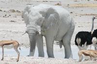 &copy; Tom Finke (Eberhardt TRAVEL)