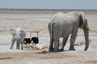 &copy; Tom Finke (Eberhardt TRAVEL)