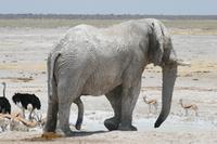 &copy; Tom Finke (Eberhardt TRAVEL)