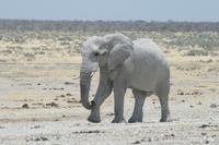 &copy; Tom Finke (Eberhardt TRAVEL)