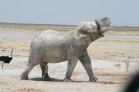 &copy; Tom Finke (Eberhardt TRAVEL)