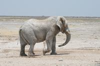 &copy; Tom Finke (Eberhardt TRAVEL)