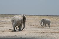 &copy; Tom Finke (Eberhardt TRAVEL)