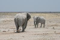 &copy; Tom Finke (Eberhardt TRAVEL)