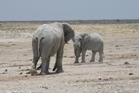 &copy; Tom Finke (Eberhardt TRAVEL)