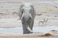 &copy; Tom Finke (Eberhardt TRAVEL)