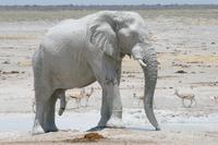 &copy; Tom Finke (Eberhardt TRAVEL)