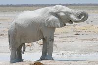 &copy; Tom Finke (Eberhardt TRAVEL)