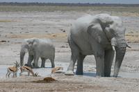 &copy; Tom Finke (Eberhardt TRAVEL)