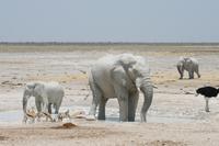 &copy; Tom Finke (Eberhardt TRAVEL)