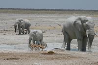 &copy; Tom Finke (Eberhardt TRAVEL)