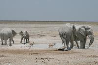 &copy; Tom Finke (Eberhardt TRAVEL)