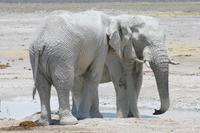 &copy; Tom Finke (Eberhardt TRAVEL)