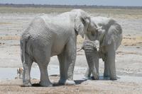 &copy; Tom Finke (Eberhardt TRAVEL)