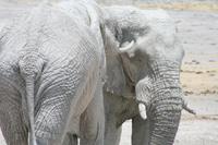 &copy; Tom Finke (Eberhardt TRAVEL)