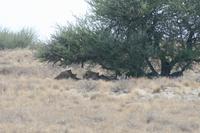 &copy; Tom Finke (Eberhardt TRAVEL)