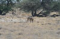 &copy; Tom Finke (Eberhardt TRAVEL)