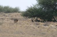 &copy; Tom Finke (Eberhardt TRAVEL)