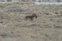 &copy; Tom Finke (Eberhardt TRAVEL)