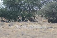 &copy; Tom Finke (Eberhardt TRAVEL)