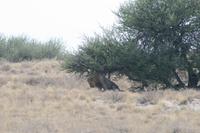 &copy; Tom Finke (Eberhardt TRAVEL)