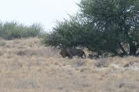 &copy; Tom Finke (Eberhardt TRAVEL)