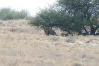 &copy; Tom Finke (Eberhardt TRAVEL)