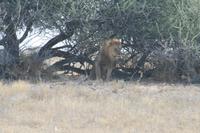 &copy; Tom Finke (Eberhardt TRAVEL)