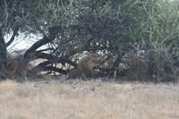 &copy; Tom Finke (Eberhardt TRAVEL)