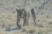 &copy; Tom Finke (Eberhardt TRAVEL)