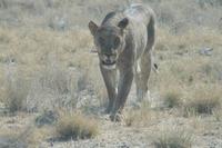 &copy; Tom Finke (Eberhardt TRAVEL)