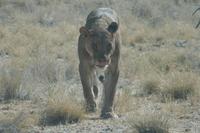 &copy; Tom Finke (Eberhardt TRAVEL)