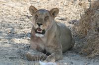 &copy; Tom Finke (Eberhardt TRAVEL)