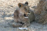 &copy; Tom Finke (Eberhardt TRAVEL)