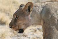 &copy; Tom Finke (Eberhardt TRAVEL)