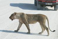 &copy; Tom Finke (Eberhardt TRAVEL)