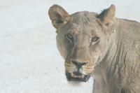 &copy; Tom Finke (Eberhardt TRAVEL)