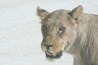 &copy; Tom Finke (Eberhardt TRAVEL)