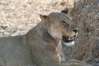 &copy; Tom Finke (Eberhardt TRAVEL)