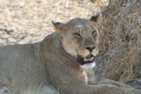 &copy; Tom Finke (Eberhardt TRAVEL)