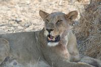 &copy; Tom Finke (Eberhardt TRAVEL)