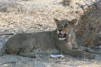 &copy; Tom Finke (Eberhardt TRAVEL)